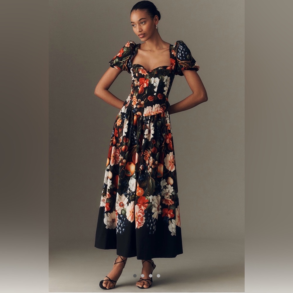 NWT Anthropologie/BHLDN Corset A-Line Fruit Dress🍇🌺🥀🍊🍒🍇🍒🍇🍒🍇🍒 FAST SHIPPING